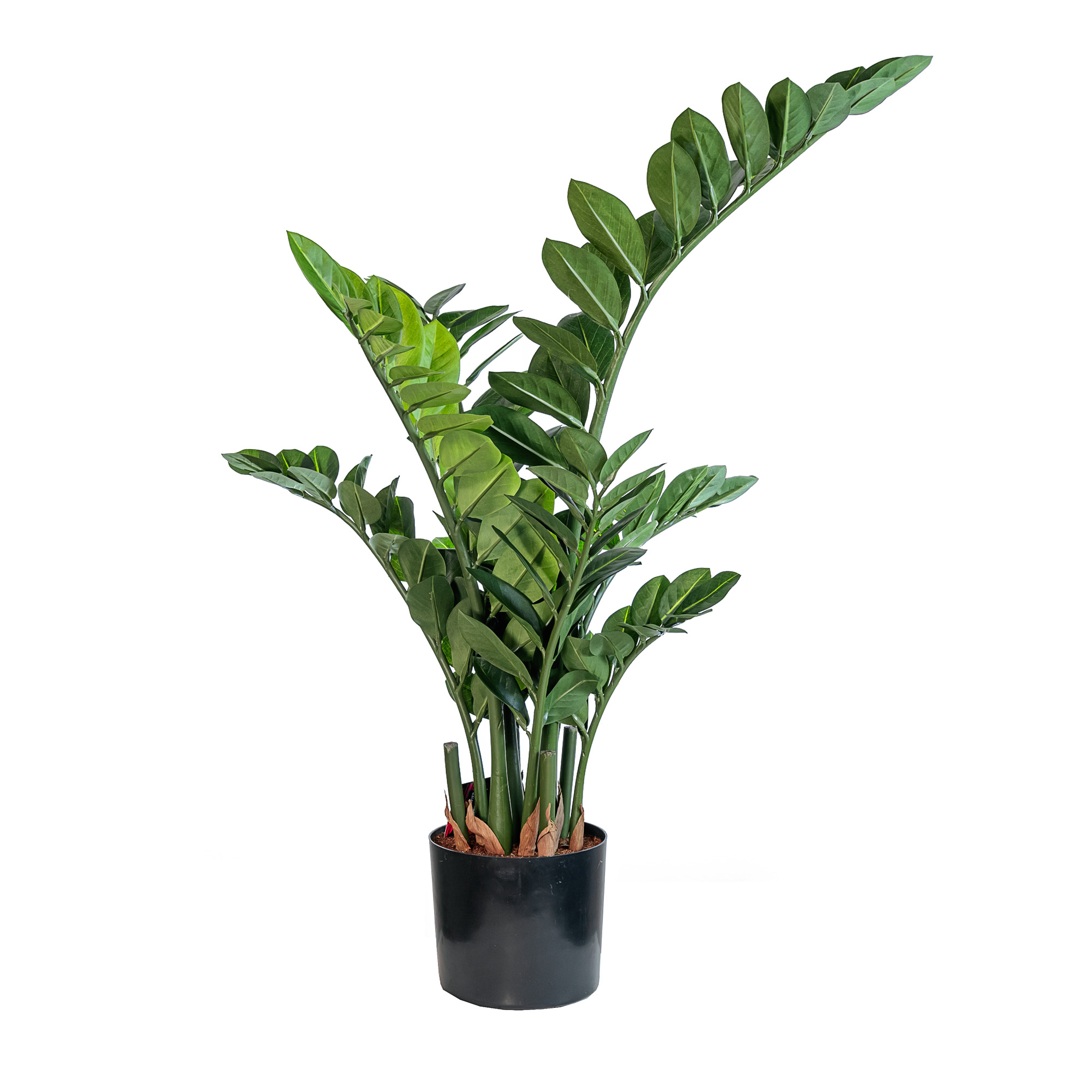 Artificial smaragd plant 8/154pcs